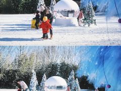 -禧宴Joyous Restaurant(禧园店)