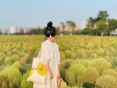 -映月湖中央公园