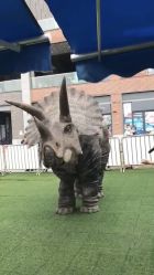 -恐龙探索乐园(磁器口店)