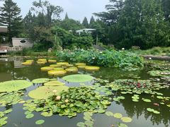 -国家植物园南园