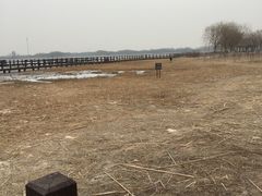 -西青郊野公园