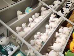 -NOME(太阳百货店)