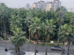 -端艾堂·SPA·艾灸(棕榈泉013店)