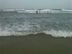 -日照海滨国家森林公园