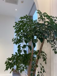 -JNK皮肤管理中心