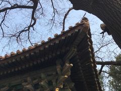 -北京国子监胡同