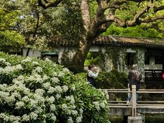 -惠山古镇·寄畅园