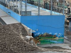 -青藏高原野生动物园