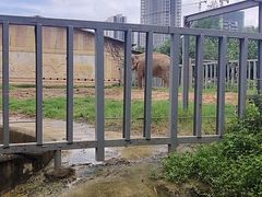 -东莞香市动物园