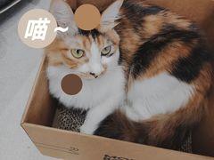 -玫瑰咖啡(中山六路店)