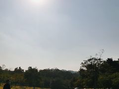 -田心森林公园