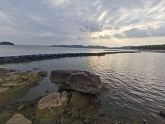 -上海市保健医疗中心