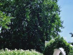 -人民公园(罗湖区)