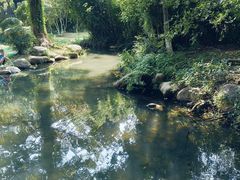 -白马涧龙池景区