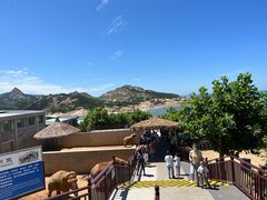 -西霞口神雕山野生动物世界