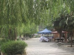 -西安市长乐公园