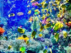 -海合安青岛极地海洋公园