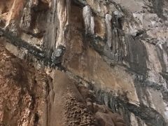 -武隆天坑地缝国家地质公园