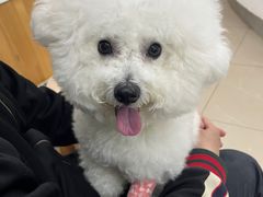 -爱侣宠医·鹦鹉专科·小型哺乳类·异宠专科(灵石路店)