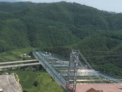 -铜川市金锁关石林