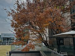 -CEMENT·coffee bar (凤凰创意园店)