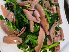 -鲁前海沿儿