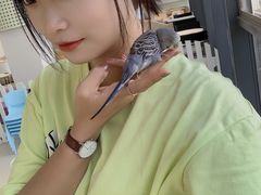 -怪兽屋·羊驼·猫咖·狗咖(俊华广场店)