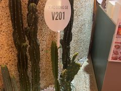 -小董哥烤串(金水花城店)