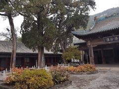 -窦大夫祠