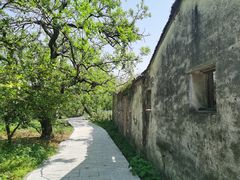 -东山风景区(洞庭东山)