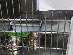 -艾贝尔宠物诊疗