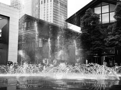 -ZARA(成都远洋太古里店)