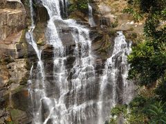 -海南热带雨林国家公园吊罗山景区
