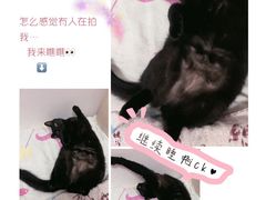 -狗舍宠物医院(四季商业广场店)