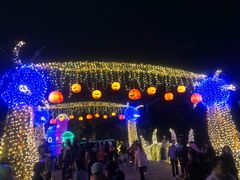 -南湖梦幻岛