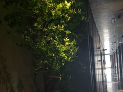 -唐宫足道·SPA·住宿24H会所(木渎店)