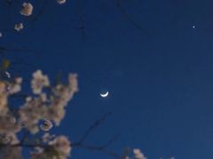 -上海南浦大桥长途旅游客运站