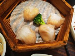 避风塘虾饺皇-避风塘(光启城店)
