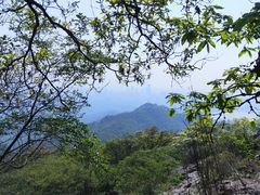 -紫金山山顶公园