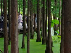 -云龙湖旅游景区