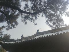 -洛阳白马寺