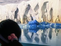 -太平洋海底世界