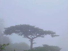 -圣莲山风景区