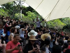 -新加坡飞禽公园