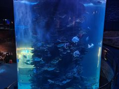 -蓬莱欧乐堡海洋极地世界