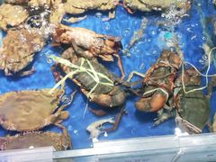 -榕港名轩(天禧店)