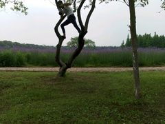 -艾溪湖湿地公园