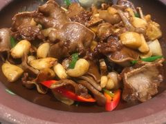 生啫雪花牛舌-顺味凤城(九六广场店)