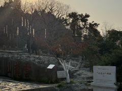 -云龙山