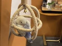 -钉子咖啡·Nail coffee(天鸿店)